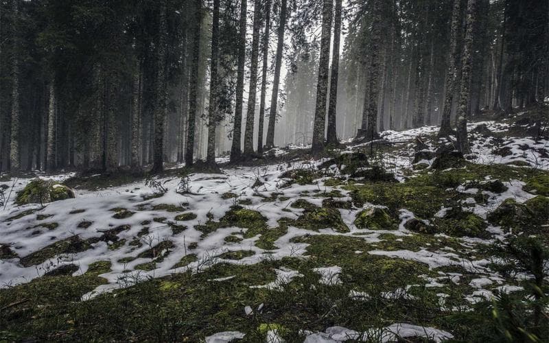 Nový web Oknium – výroba oken a dveří s konfigurátorem produktů